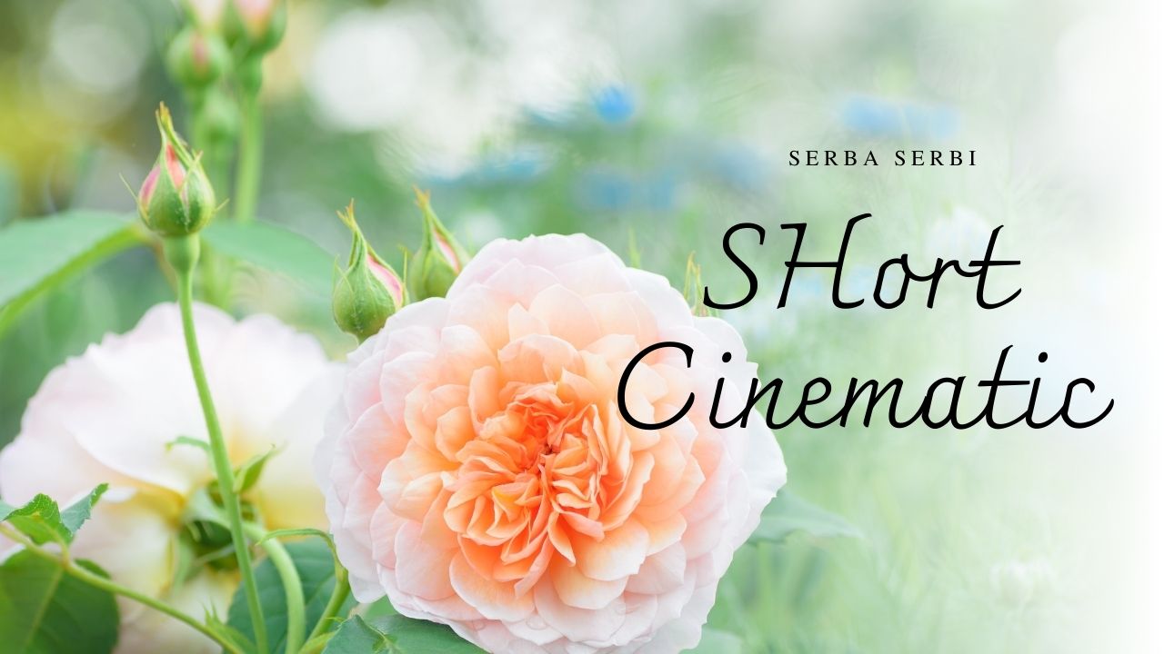 CSJMJ Short Cinematic